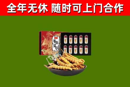 海丰烟酒回收冬虫夏草礼盒.jpg