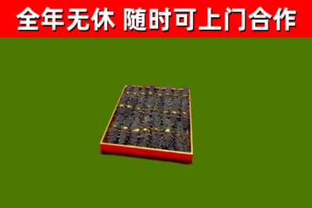 海丰回收海参
